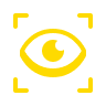 Our Vision